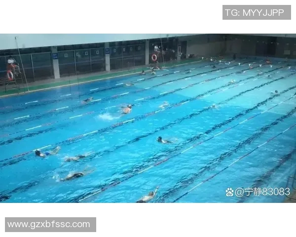 仰泳概述：技术要点、训练方法与竞赛规则详解