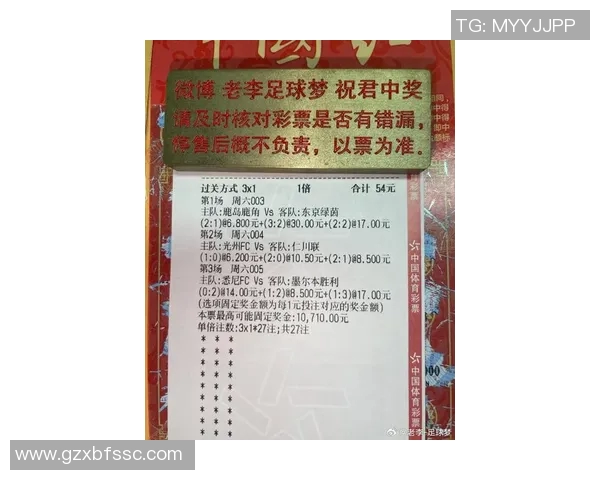 今天鹿岛鹿角对阵湘南海洋比赛结果揭晓精彩瞬间回顾与分析
