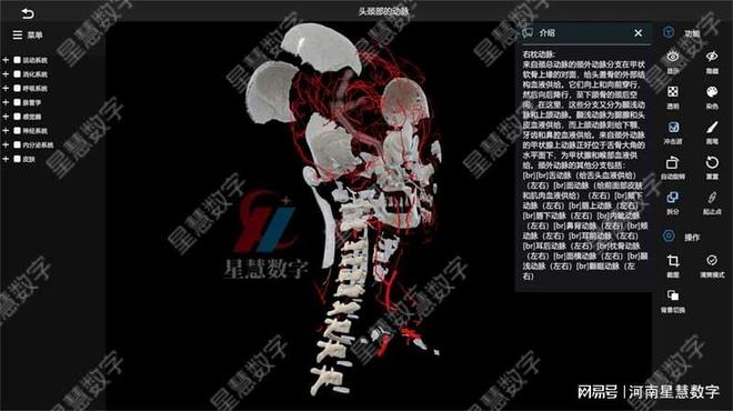 星空体育app颈部静脉、舌动脉……VR口腔剖解假造仿真让脉管进修像在玩游戏(图3)