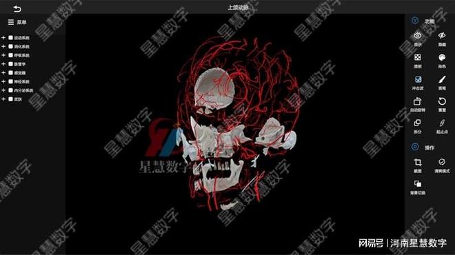 星空体育app颈部静脉、舌动脉……VR口腔剖解假造仿真让脉管进修像在玩游戏(图2)